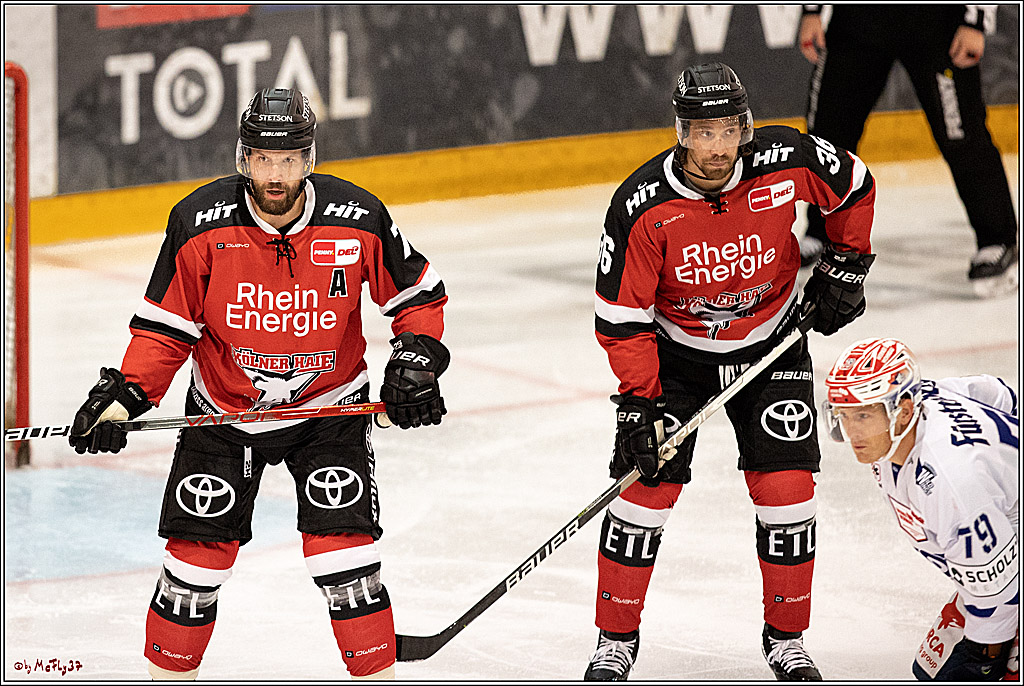 PENNY DEL;  Koelner Haie - Schwenninger Wild Wings; Koeln, 13.08.2021
